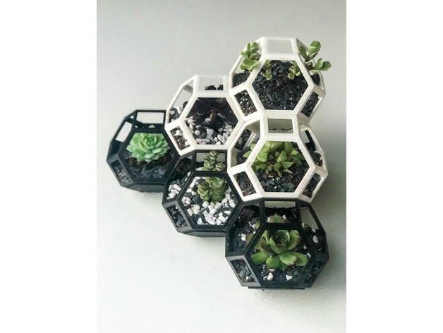 Bộ chậu hoa mini - Sản phẩm in 3D Đà Nẵng